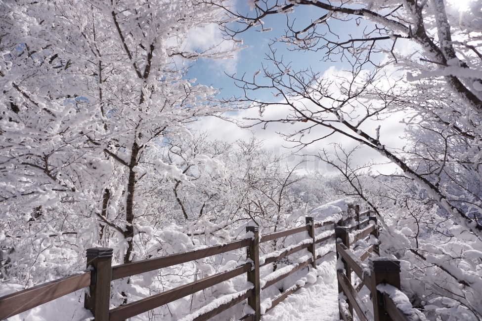 설경,산,눈,상고대,자연,겨울,겨울,계절,winter,season,자연,풍경,nature,landscape,banister,난간,handrail,railing