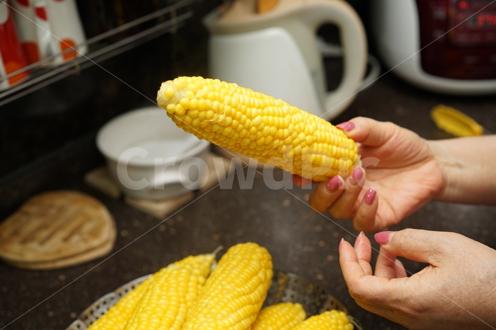 	옥수수,간식,옐로우,노랑,음식,푸드,먹거리,식량,비상식량,달콤,건강,식감,일상,먹방,손,사람,인물,인간,human,person,신체일부,몸,body,음식,식재료,요리,food,cook,meal,dishes,food reserves,곡류,곡식,cereals