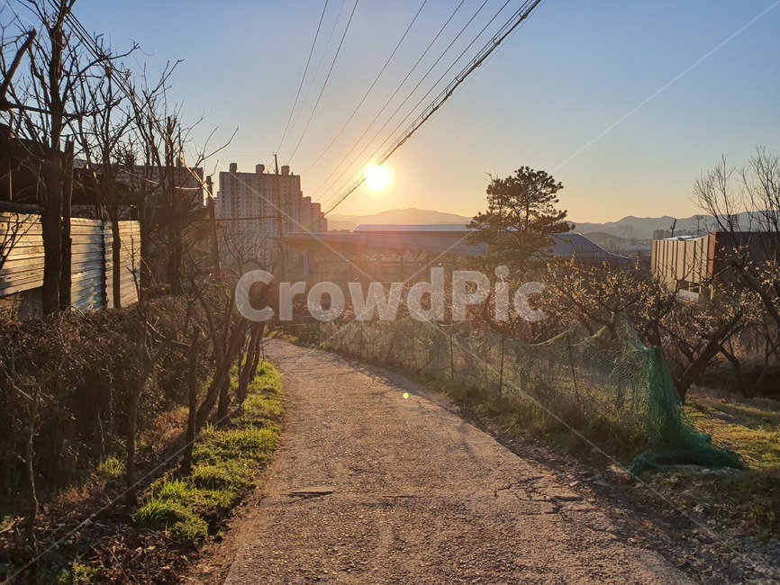 dirtroad,흙길,도로,road,자갈,sunlight,햇빛,nature,자연