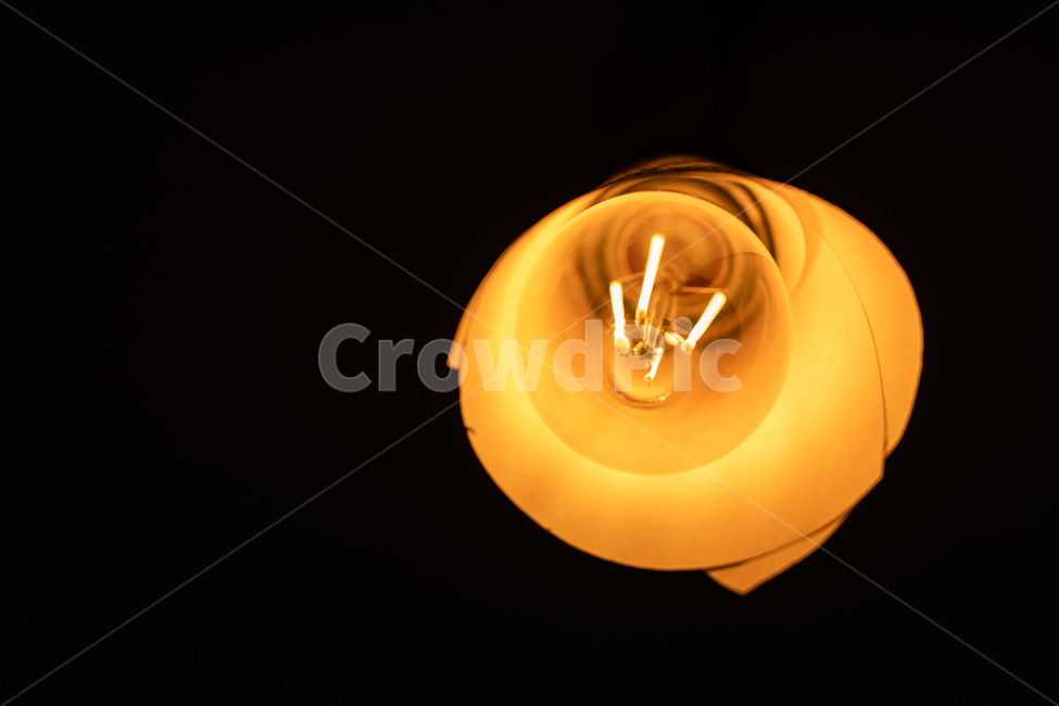 전등,빛,전구,light,lightball