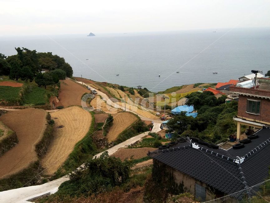 경상남도,남해,다랭이마을,다랭이논,계단식논,농촌마을,농사,자연풍경,자연,농촌,논,밭,바다,가옥,농촌가옥,시골,마을,자연,풍경,nature,landscape,한국자연풍경,한국자연경관,korea nature landscape,시골,마을,country,rural,town,outdoors,옥외,scenery