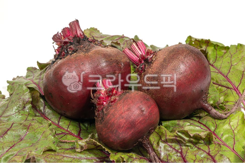 비트,야채,음식,채소,건강식품,식품,뿌리채소,유기농,클로즈업,식재료,음식재료,비건,보라색,다이어트