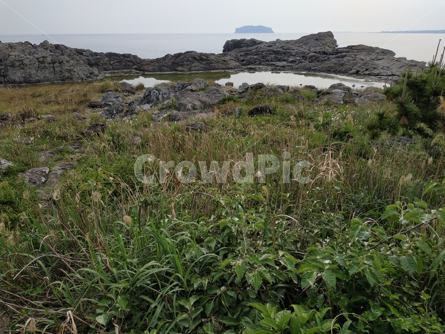 풍경,바닷가,바다,섬,자연,풀,자연,풍경,nature,landscape