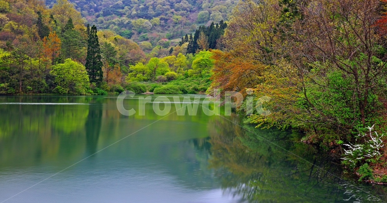 세량지,봄,화순,세량지봄,화순여행,자연,풍경,nature,landscape,한국자연풍경,한국자연경관,korea nature landscape,water,물,outdoors,옥외
