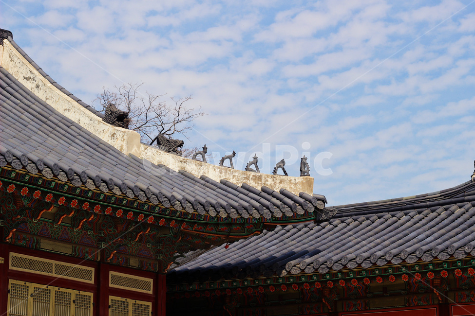 전통,한옥,기와,하늘,traditional,sky,house,한국전통,한국문화,korean traditional,korean culture,건축물,건물외관,exterior,building,structure,architecture,construction