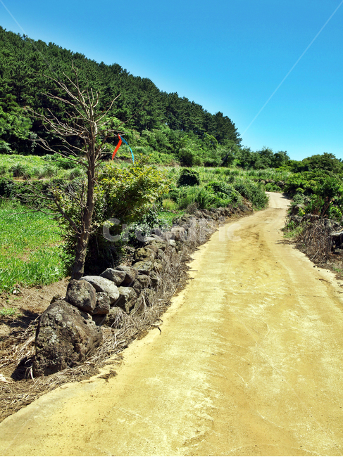 수산봉,수산오름,올레16코스,올레,제주,기생화산,물메,오름,기우제,숲,돌담,밭,도로,제주도,jeju,jeju island,dirt road,흙길,gravel,자갈,road,ground,바닥