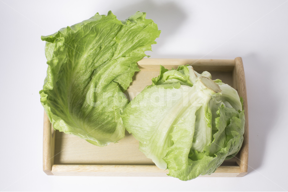 양상추,야채,채소,샐러드,연두색,식재료,채소,야채,vegetables