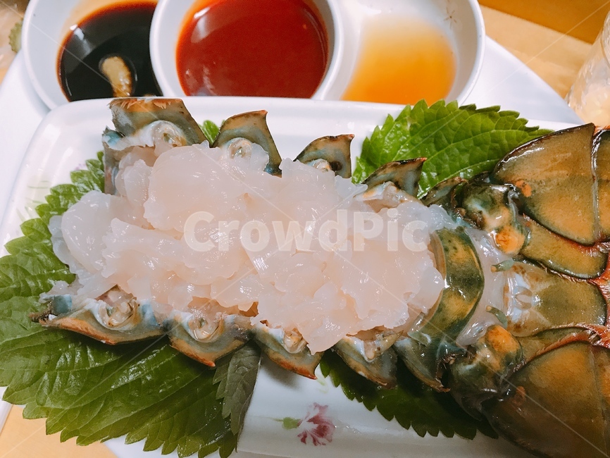 부산,가재,포장마차,해운대,회