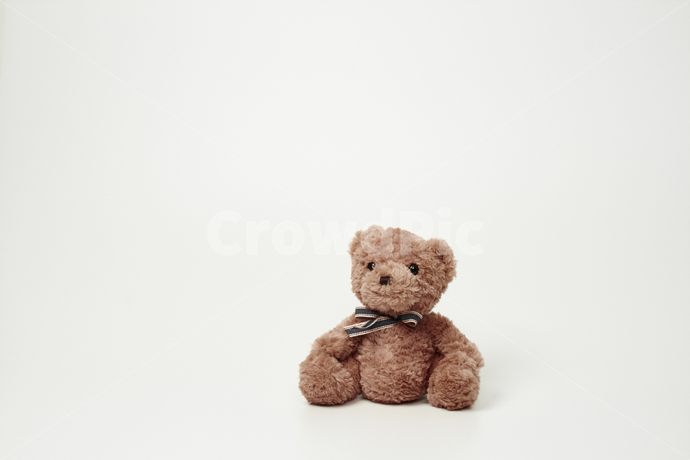 곰,곰인형,인형,완구,장난감,어린이,사물,물건,오브젝트,thing,objectmatter,누끼,흰색,배경,합성,귀엽다,예쁘다,브라운,리본,눈,코,입,앉다,어린이,어린아이,child,children,kid,사물,물건,오브젝트,thing,object,matter,누끼,remove background
