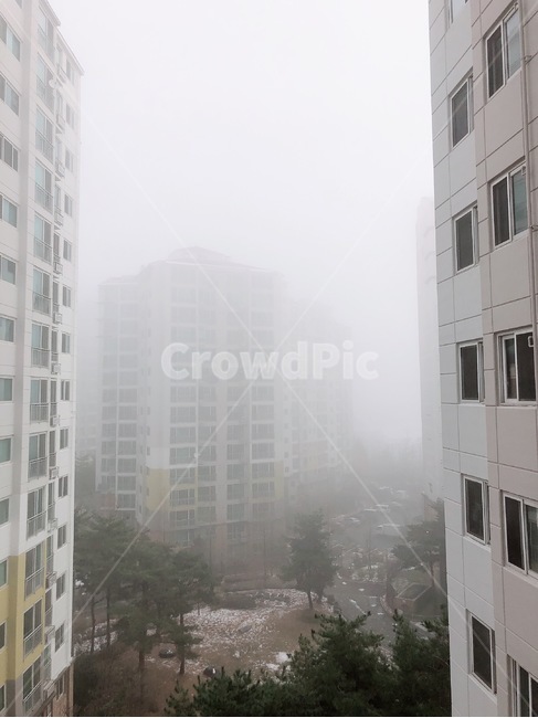 아파트,이사,포장이사,보관이사,이사업체,단지,안개,날씨,미세먼지,배경,풍경,서울