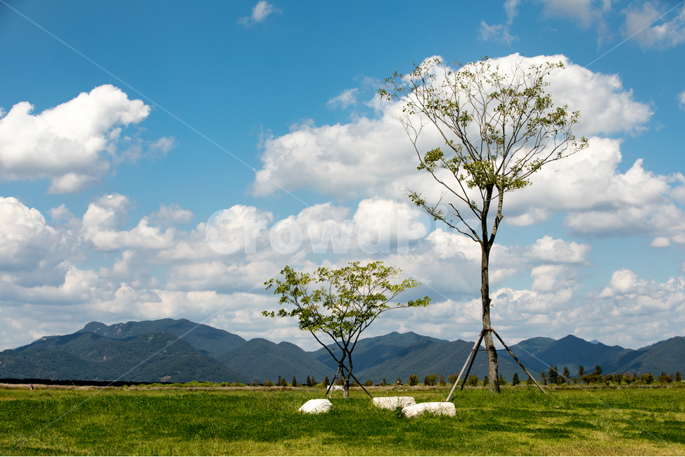 가을하늘,공원,하늘,구름,생태공원,자연,가을,자연,풍경,nature,landscape,grassland,목초지,field,들,outdoors,옥외