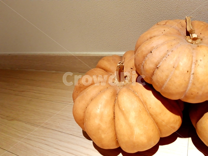 호박,늙은호박,수확,식재료,채소,음식,식품,야채,pumpkin,food,cook,meal,음식,식재료,요리,food,cook,meal,dishes,food reserves,채소,야채,vegetables