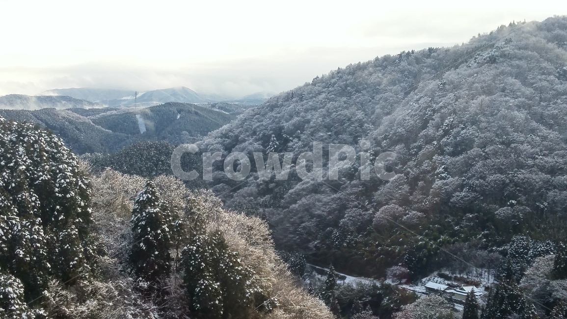 설산,겨울산,눈덮인산,겨울,눈,겨울,계절,winter,season,자연,풍경,nature,landscape,tree,나무,plant,식물,fir,전나무,outdoors,옥외