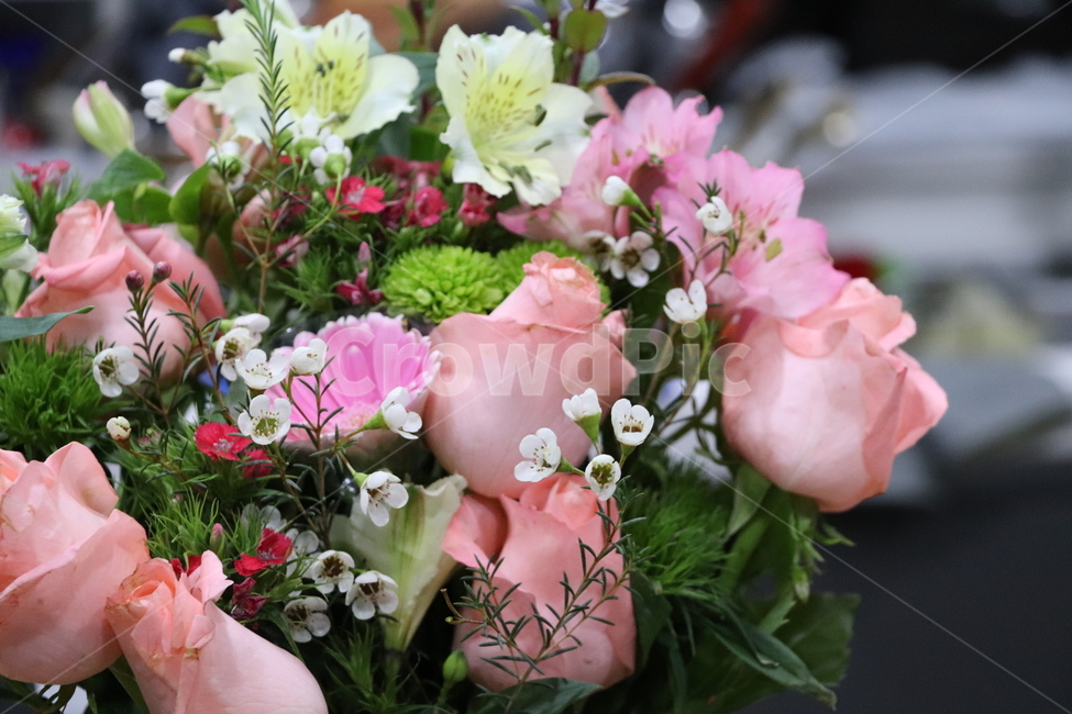 식물,flower,꽃꽂이,blossom,꽃부케,꽃,꽃,flower