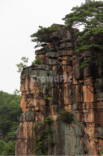 사인암,단양팔경,단양,바위,돌,경치,자연,풍경,nature,landscape,한국자연풍경,한국자연경관,korea nature landscape,outdoors,옥외,cliff,낭떠러지