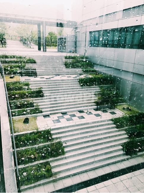 비,자연,시원함,풍경,경치,힐링,rain,창밖,빗방울,cloud,계절,봄비,봄,장마,비,비오는날,rain,rainy