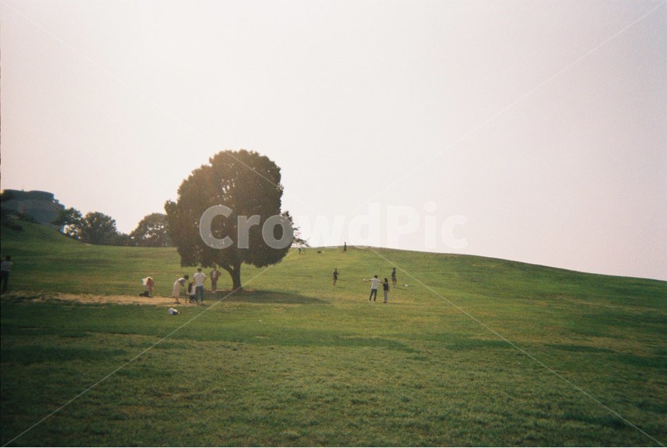 나무,공원,올림픽공원,나홀로나무,초록,풀,감성사진,필름카메라,자연,풍경,nature,landscape,한국자연풍경,한국자연경관,korea nature landscape,식물,plants,나무,trees,wood,감성,sensible,feeling,field,들,plant,grass,잔디,grassland,목초지,outdoors,옥외,human,인간,person,사람