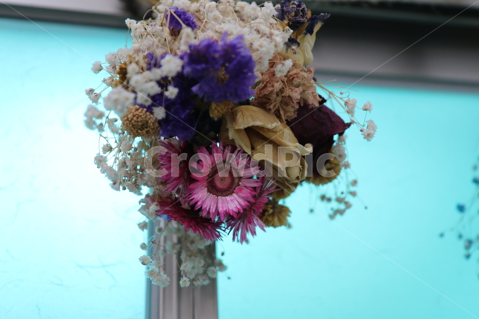 드라이플라워,드라이,건조,말린꽃,꽃,식물,꽃,flower