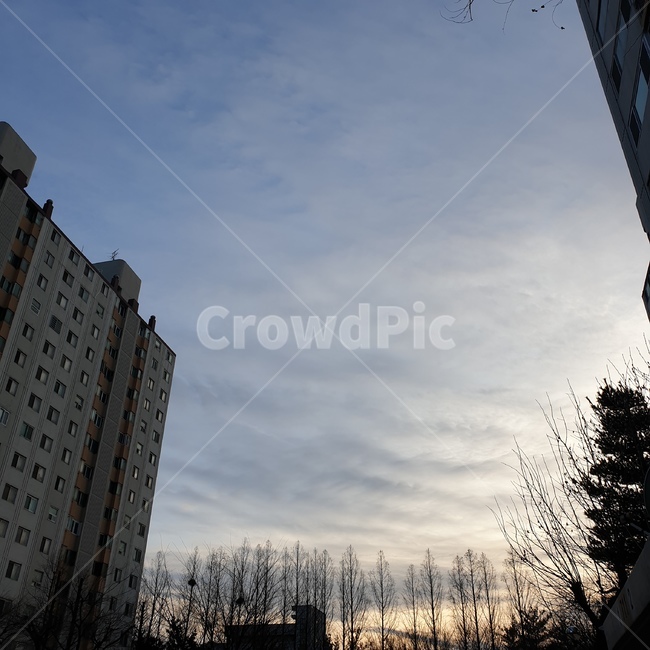 구름,하늘,나무,sky,노을