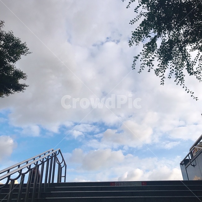 나무,계단,구름,하늘,sky,cloud,blue,white,tree