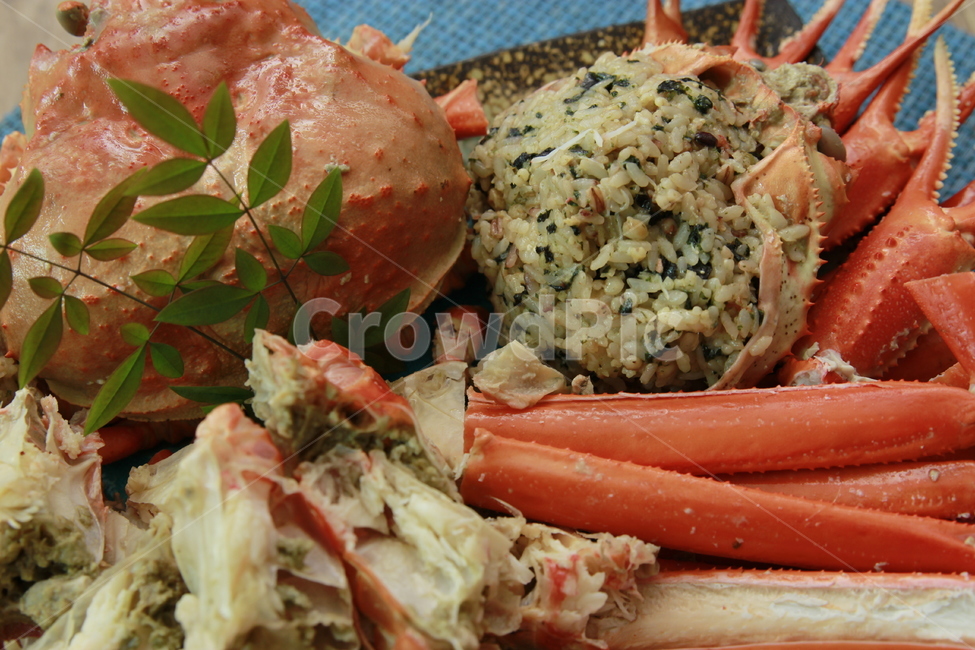 해물,홍게,대게,해산물,한식,한국음식,홈파티,속초,음식,식재료,요리,food,cook,meal,dishes,food reserves,한식,한국음식,한국요리,korean food,korean dishes,korean meal,korean cook