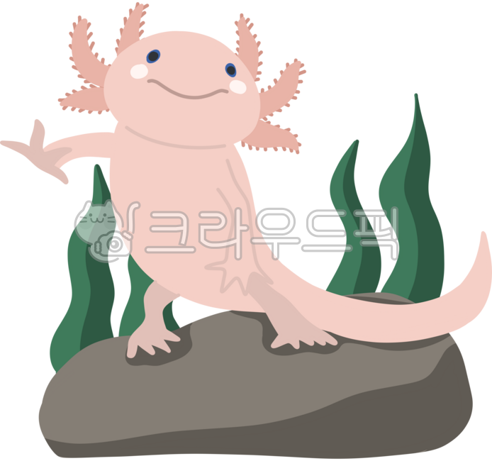 바다생물,물고기,우파루파,귀여운바다생물,우파루파캐릭터,분홍색물고기,귀여운,분홍색,꼬리,수초,돌맹이