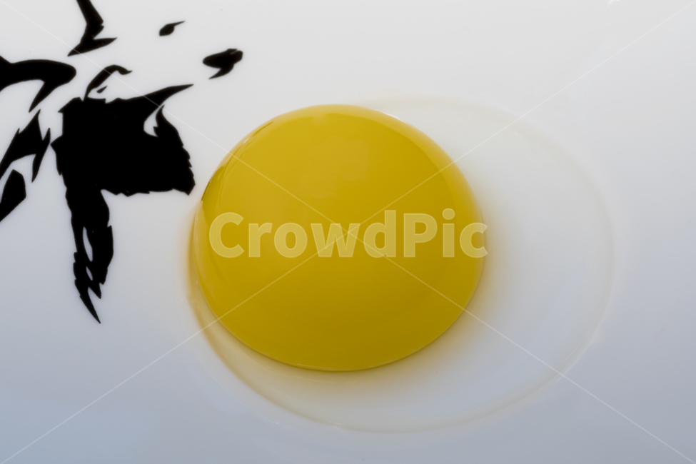 Easter,chicken,egg,yellow,white background,eggshell,life,preparation,flour,protein,uncooked,bird,eat,diet,tradition,cooking,kitchen,abandonment,table,group,product,nature,no one,tree,brown,yolk,dinner,Lunch,meal,nutrition,closeup,shell,Farm,epicurean,Isol