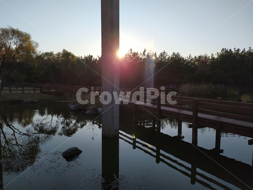 가을,light,빛,flare,플레어,연못,pond,기둥,자연,풍경,nature,landscape