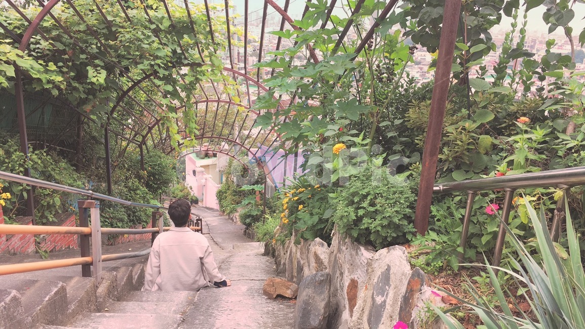 대동하늘공원,대전,벽화마을,계단,정원,사람