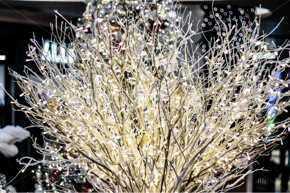 겨울,겨울색,크리스마스,겨울이미지,빛,보케,계절,아름다운,winter,bokeh,season,beautiful,빛망울,추위,크리스마스이미지,christmas,야경,밤,풍경,nightscape,night,landscape,plant,식물