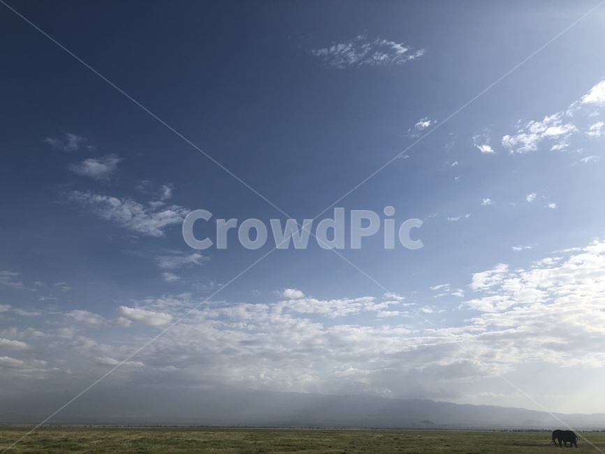 자연,outdoors,하늘,nature,weather,코끼리,자연,풍경,nature,landscape,옥외,날씨,sky