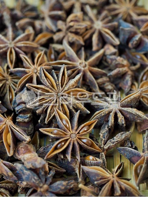 staranisehall,spice,cookingingredients,Star Anise Hall,scent,dryfood,dry food,cooking,organic,starshape,anise,Spice,octagonal,star shape,cooking ingredients,brown,octagonal incense,food,octagon,plant,Spices,Scent,spices