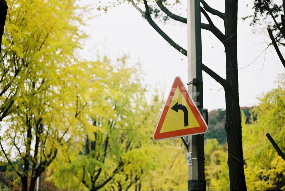 표지판,노랑,봄,개날,빨강,도로,도로표지판,감성,sensible,feeling,교통,교통수단,traffic,transportation,sign,기호,road sign,도로 표지판