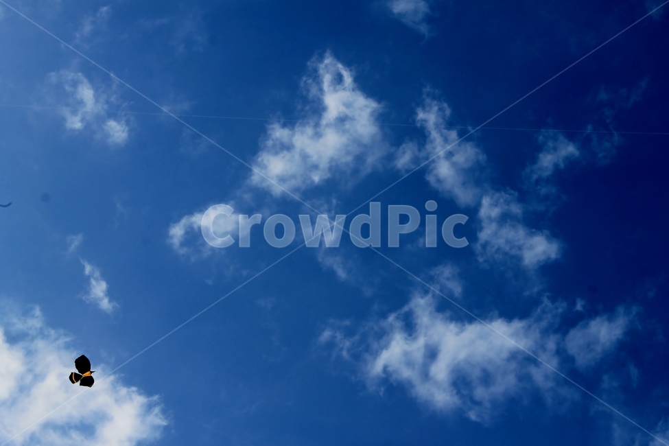 발리,연,연날리기,kite,flingkite,하늘,sky,푸른하늘,bluesky,자연,풍경,nature,landscape,azure sky,푸른 하늘,outdoors,옥외