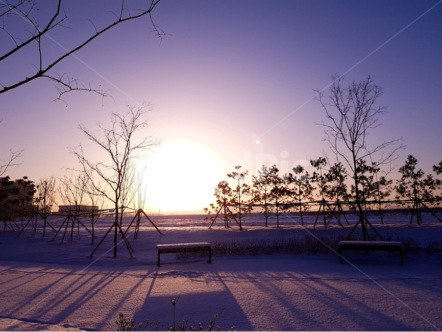 일출,해,풍경,자연,겨울,나무,겨울,계절,winter,season,자연,풍경,nature,landscape,outdoors,옥외,bench,벤치