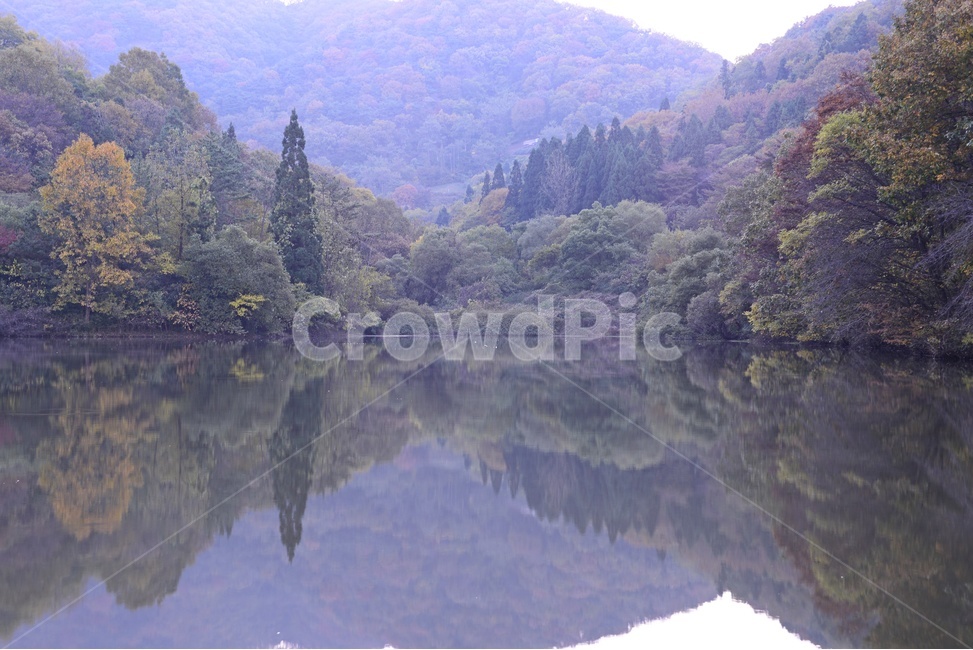 water,물,nature,자연,outdoors,옥외,화순,세량지,반영,경치,풍경