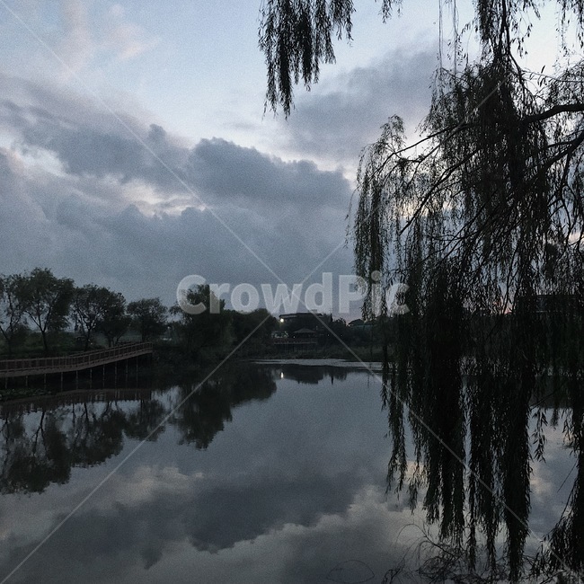 연꽃공원,자연,호수,나무,식물,풍경,경치,면꽃,초저녁,저녁,구름,tree,plant,자연,풍경,nature,landscape