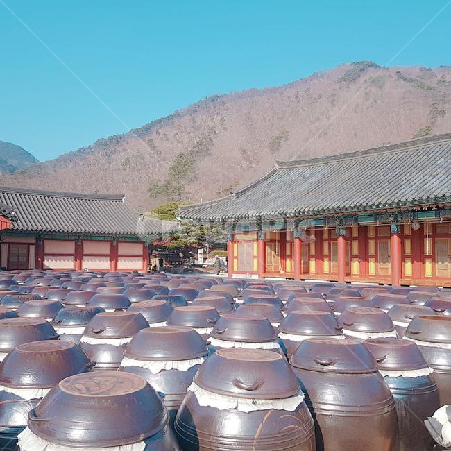 한국,절,한국적인,장독대,김장,간장,된장,고추장,장단지,단지,뒷마당,앞마당,사찰음식,간장공장,koreantradition,koreanpot,temple