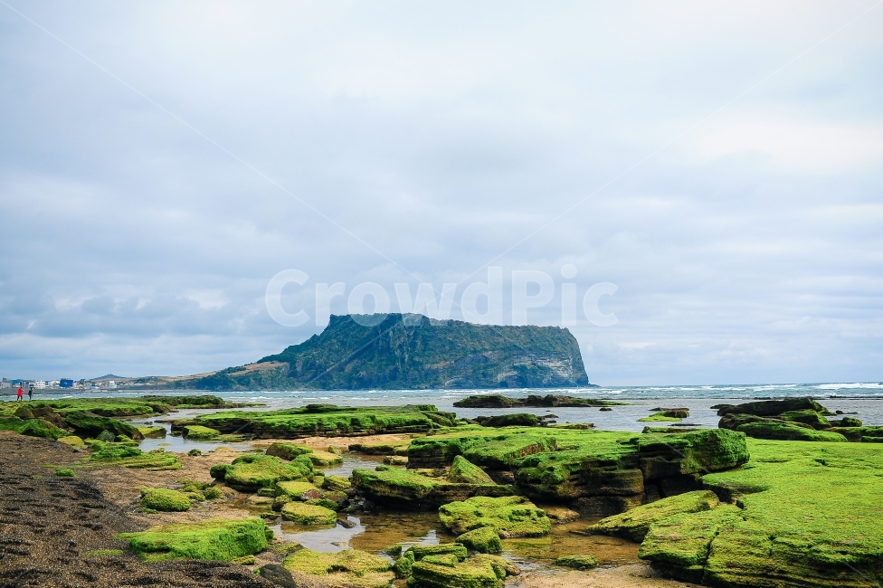 제주도,성산일출봉,바다,여행,감성사진,해변,한국적인,한국,이끼,구름,힐링,자연,풍경,nature,landscape,한국자연풍경,한국자연경관,korea nature landscape,해변,바다,beach,sea,제주도,jeju,jeju island,plant,식물