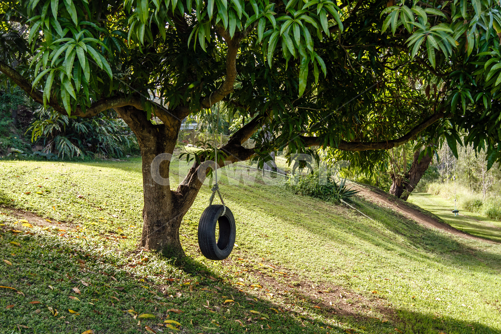 그네,나무,타이어,동심,놀이터,잔디,swing,tree,tire,childhood,playground,grass
