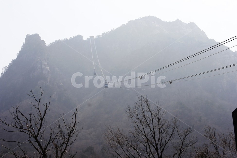 설안산,한국,케이블카,케이블,산,나무,강릉,강원도,자연,풍경,nature,landscape