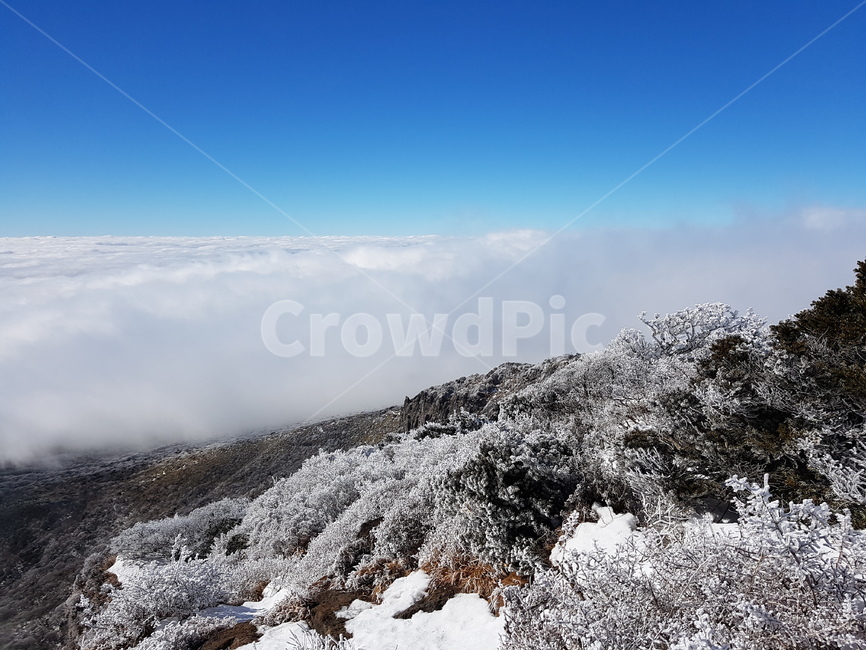 제주,겨울,한라산,눈꽃,눈,jeju,winter,hallamountain,snow,겨울,계절,winter,season,자연,풍경,nature,landscape,outdoors,옥외
