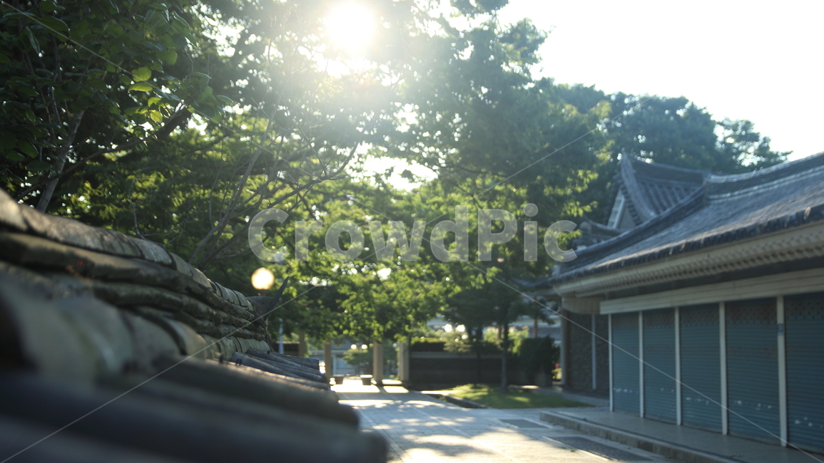햇빛,따뜻함,기와,풍경,보문관광단지,한국전통,한국문화,korean traditional,korean culture,건축물,건물외관,exterior,building,structure,architecture,construction