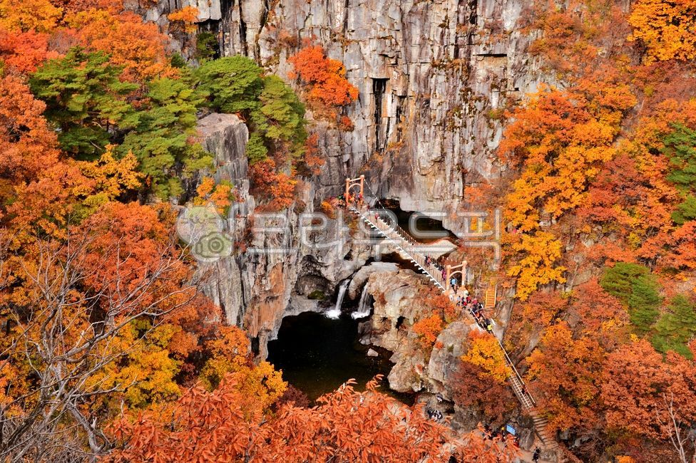 nature,internal calculation,tree,hiking,leaf,Mansan Red Leaf,red,rock,mountain,waterfall,person,plant,Bogyeongsa County Park,autumn,hiker,Maple
