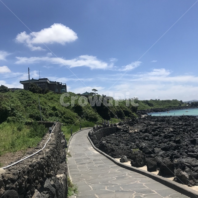 제주,색감,바다,돌담길,산책로,자연,풍경,nature,landscape,한국자연풍경,한국자연경관,korea nature landscape,제주도,jeju,jeju island,outdoors,옥외