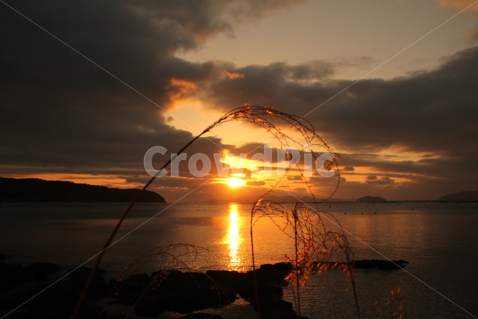 일출,해돋이,일출명소,완도군,정도리구계등,구계등일출,완도자갈마당일출,해,sun,sunrise,자연,풍경,nature,landscape,flare,플레어,light,빛,grass,잔디,plant,식물,outdoors,옥외