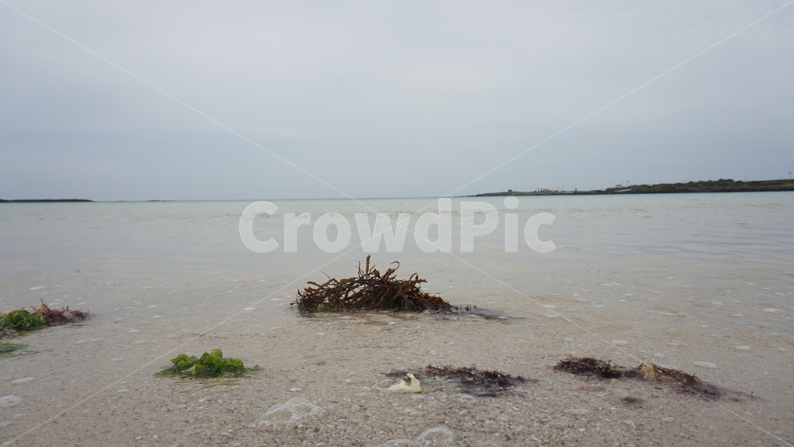 바닷가,바다,자연,풍경,제주도,해변,바다,beach,sea,제주도,jeju,jeju island