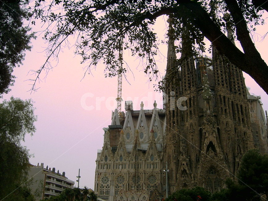 사그리다파밀리아,성당,교회,architecture,탑,spire,building,건물,뾰족한탑