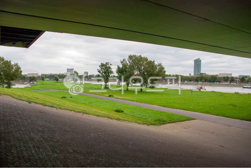 green,underthebridge,greentree,tree,blue park,building,greenpark,plant,bridge,river,green tree,under the bridge,park