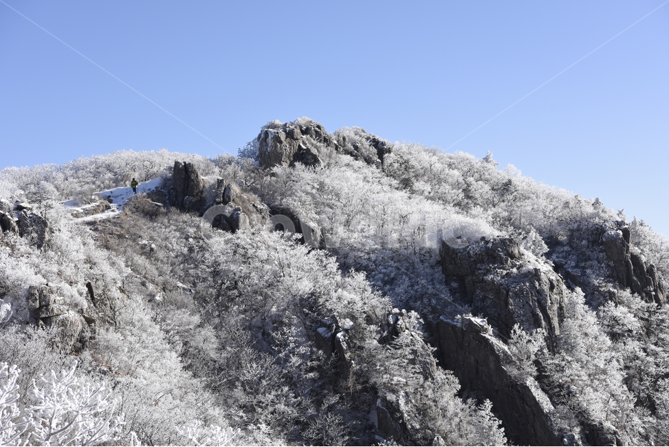 소백산,상고대,눈꽃,설경,겨울,겨울,계절,winter,season,자연,풍경,nature,landscape,한국자연풍경,한국자연경관,korea nature landscape,ice,빙,outdoors,옥외